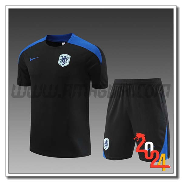 Kit Maglia Allenamento Paesi Bassi Bambino Nero/Blu 2024 2025