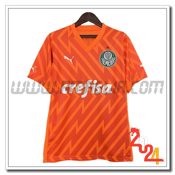 Maglia Calcio Portiere Palmeiras 2024 2025 GIALLO