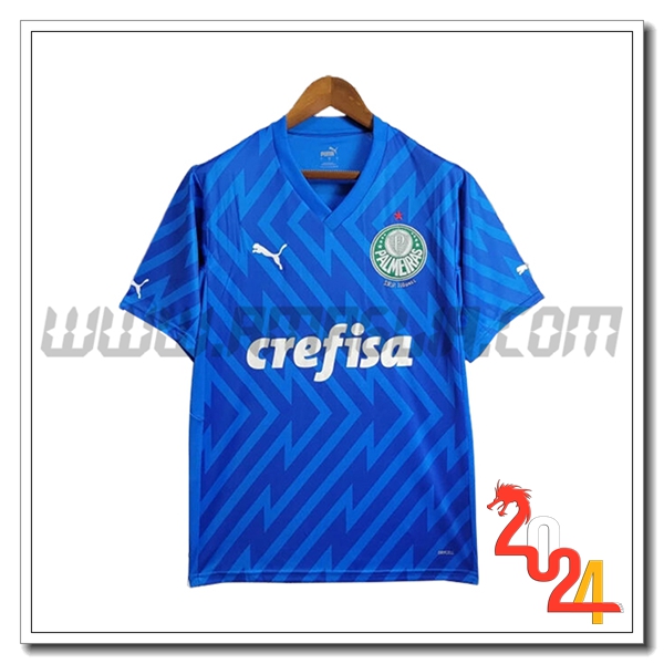 Maglia Calcio Portiere Palmeiras 2024 2025 Blu