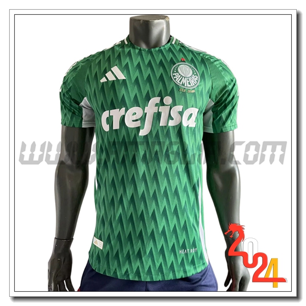 Maglia Calcio Palmeiras Edizione speciale 2024 2025 Verde