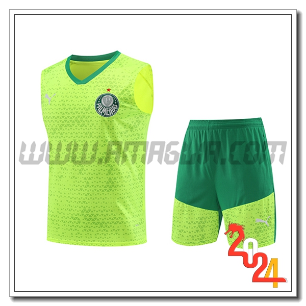 Kit Canotta Allenamento Palmeiras Verde/Giallo 2024 2025