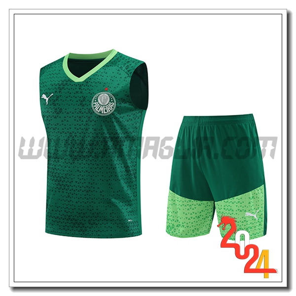 Kit Canotta Allenamento Palmeiras Verde 2024 2025
