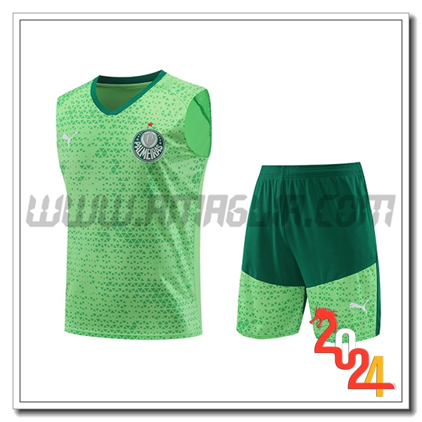 Kit Canotta Allenamento Palmeiras Verde 2024 2025 -02
