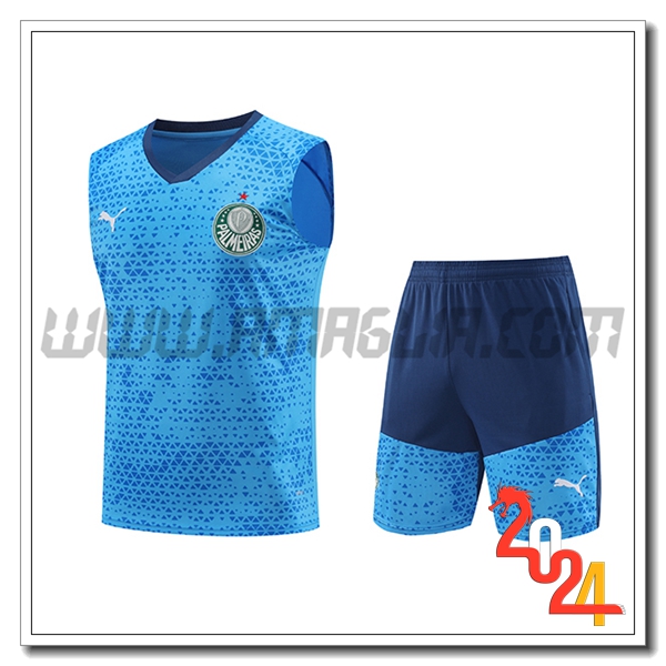 Kit Canotta Allenamento Palmeiras Blu 2024 2025