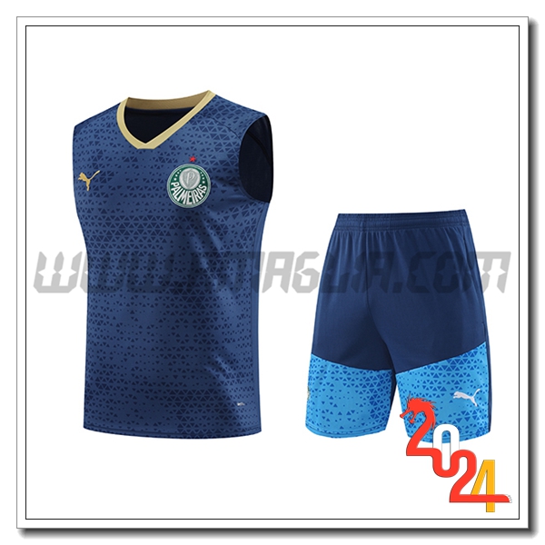 Kit Canotta Allenamento Palmeiras blu navy 2024 2025