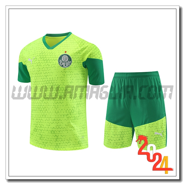 Kit Maglia Allenamento Palmeiras Verde/Giallo 2024 2025