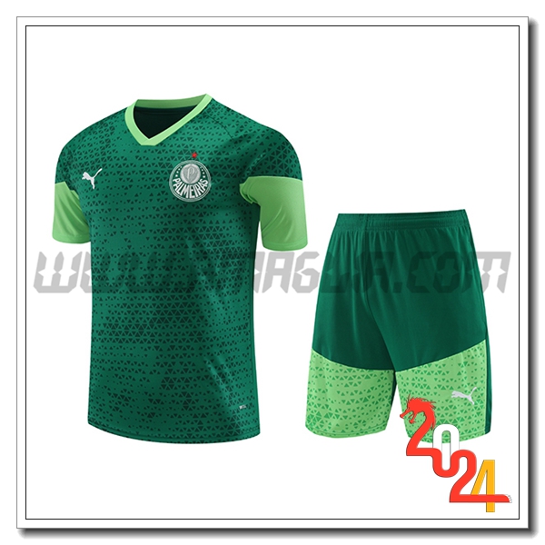 Kit Maglia Allenamento Palmeiras Verde 2024 2025 -03