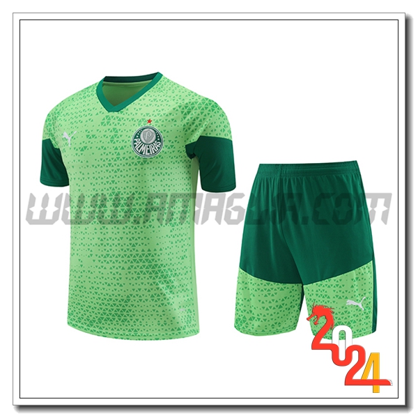 Kit Maglia Allenamento Palmeiras Verde 2024 2025 -04