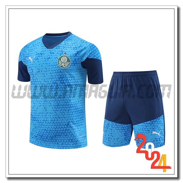 Kit Maglia Allenamento Palmeiras Blu 2024 2025