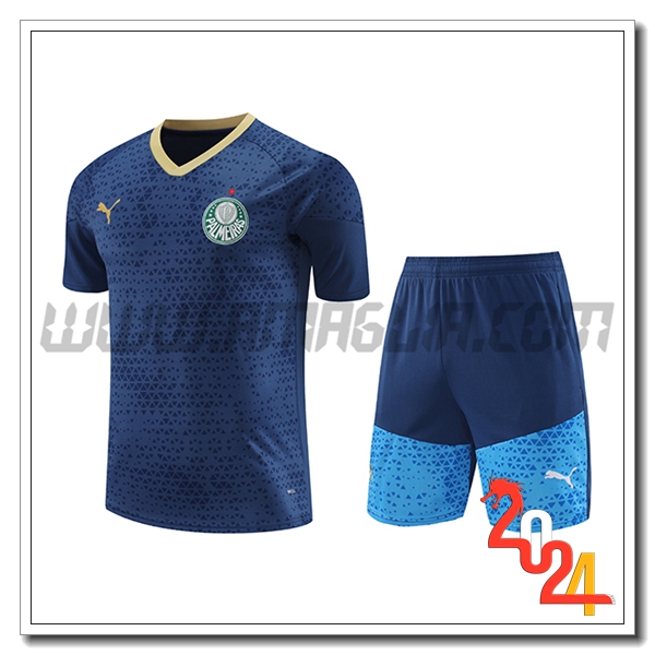 Kit Maglia Allenamento Palmeiras blu navy 2024 2025