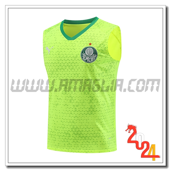 Canotta Allenamento Palmeiras Verde/Giallo 2024 2025