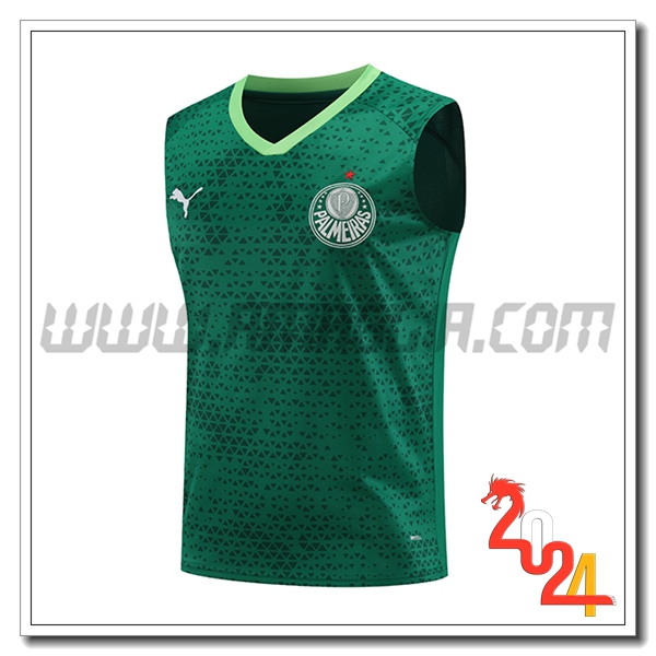 Canotta Allenamento Palmeiras Verde 2024 2025