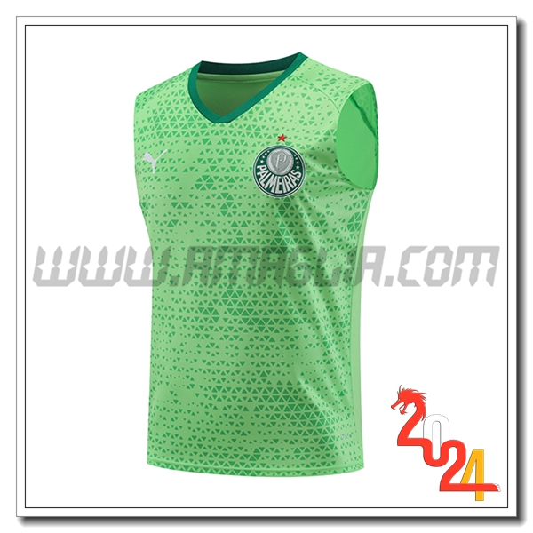 Canotta Allenamento Palmeiras Verde 2024 2025 -02
