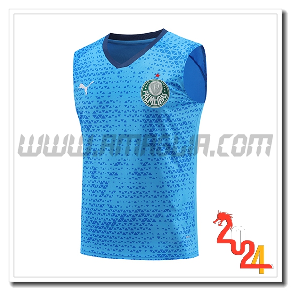 Canotta Allenamento Palmeiras Blu 2024 2025