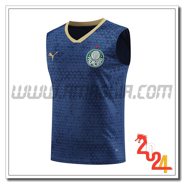 Canotta Allenamento Palmeiras blu navy 2024 2025