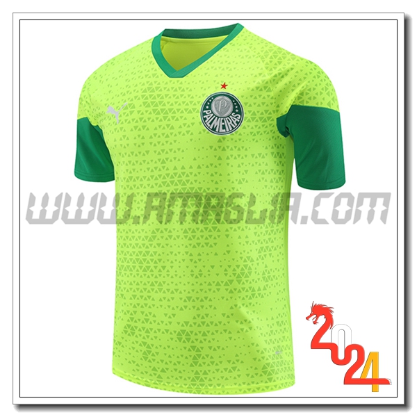 T Shirt Allenamento Palmeiras Verde/Giallo 2024 2025