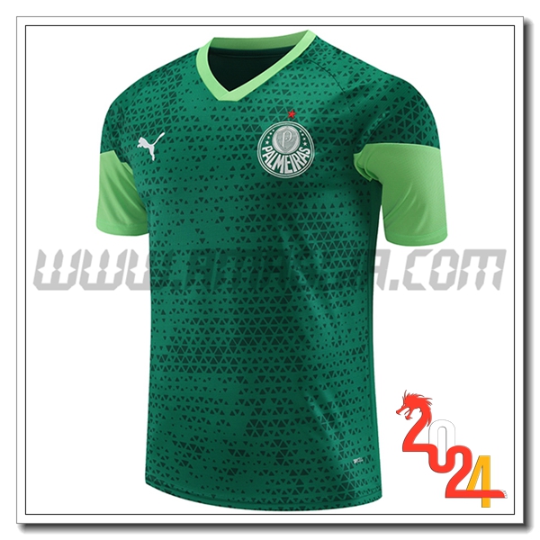 T Shirt Allenamento Palmeiras Verde 2024 2025 -03