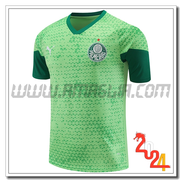 T Shirt Allenamento Palmeiras Verde 2024 2025 -04
