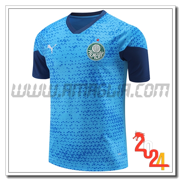 T Shirt Allenamento Palmeiras Blu 2024 2025