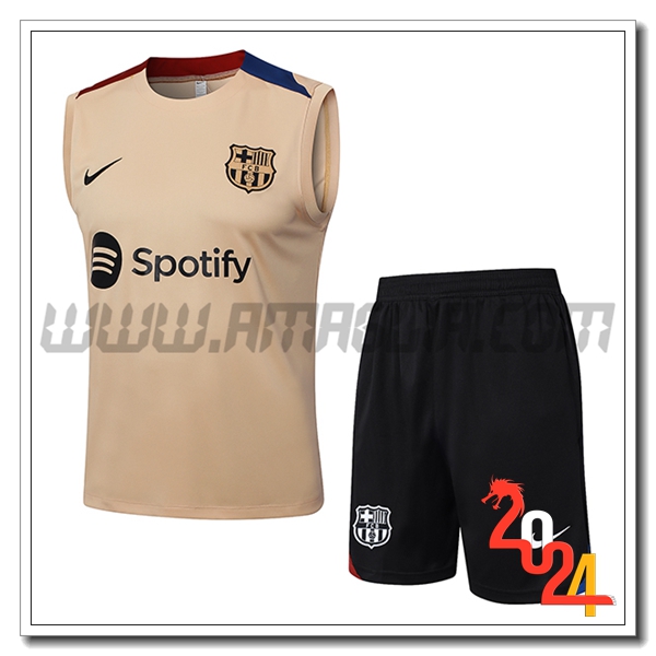 Kit Canotta Allenamento FC Barcellona Marrone/Blu/Rosso 2024 2025