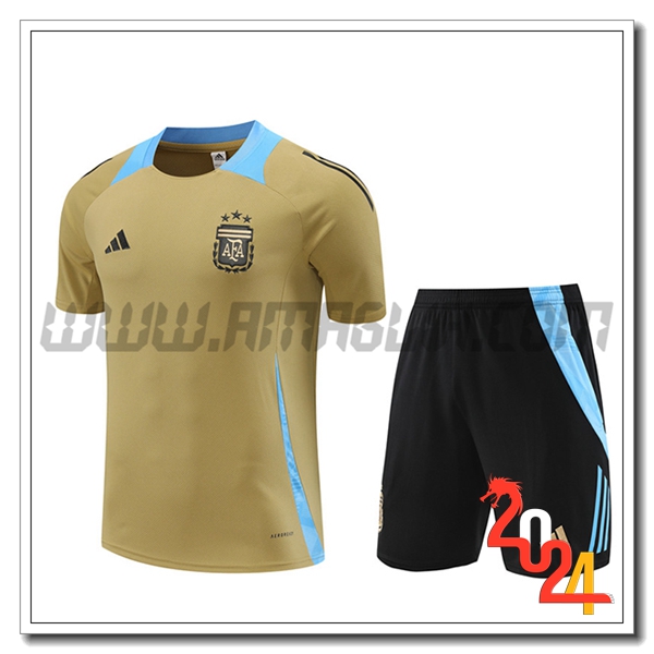 Kit Maglia Allenamento Argentina Giallo/Blu 2024 2025