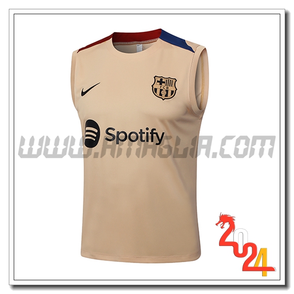 Canotta Allenamento FC Barcellona Marrone/Blu/Rosso 2024 2025