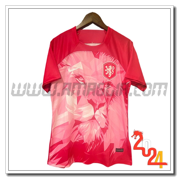 Maglia Squadra Paesi Bassi Edizione speciale 2024 2025 Rosa