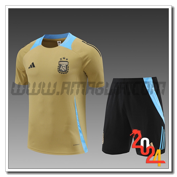 Kit Maglia Allenamento Argentina Bambino Giallo/Blu 2024 2025