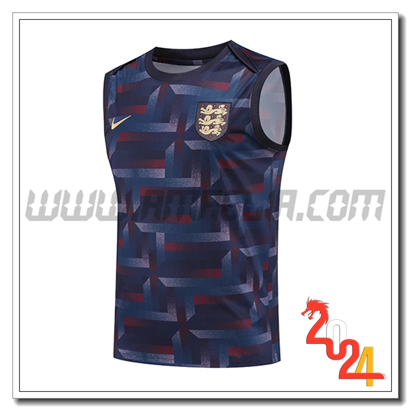 Canotta Allenamento Inghilterra Blu Scuro 2024 2025