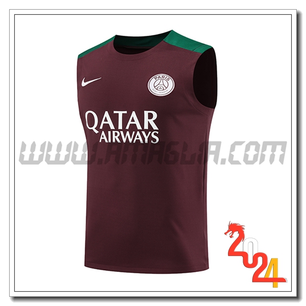 Canotta Allenamento PSG Rosso/Verde 2024 2025