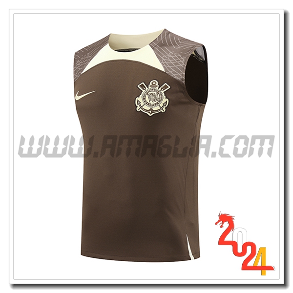 Canotta Allenamento Corinthians Marrone/Beige 2024 2025