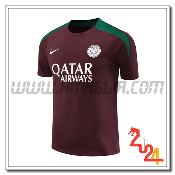 T Shirt Allenamento PSG Rosso/Verde 2024 2025