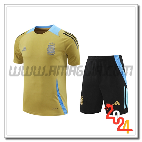 Kit Maglia Allenamento Argentina Giallo/Blu 2024 2025