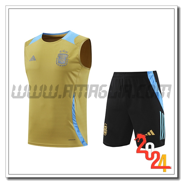 Kit Canotta Allenamento Argentina Giallo/Blu 2024 2025