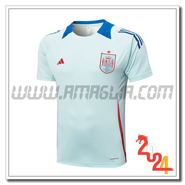 T Shirt Allenamento Spagna Azzurro 2024 2025