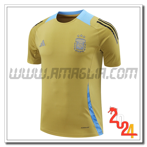 T Shirt Allenamento Argentina Giallo/Blu 2024 2025