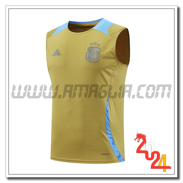 Canotta Allenamento Argentina Giallo/Blu 2024 2025