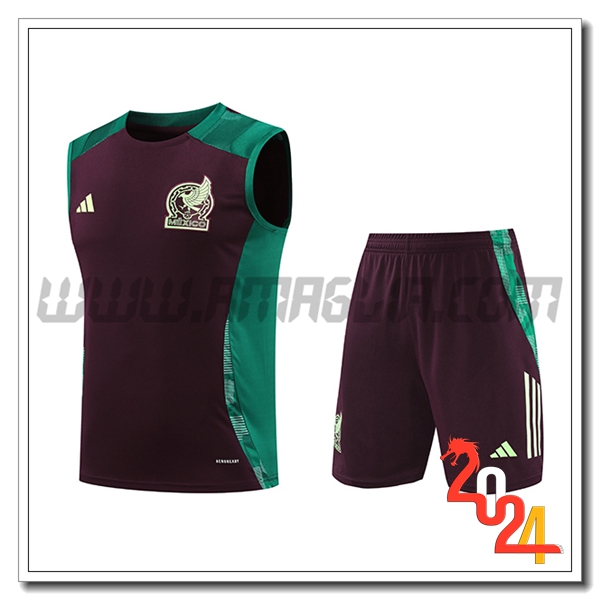 Kit Canotta Allenamento Messico Verde/Marrone 2024 2025 -02