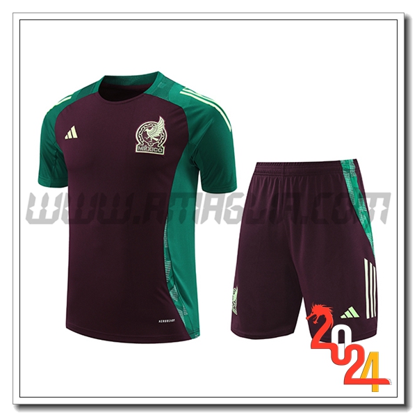 Kit Maglia Allenamento Messico Verde/Marrone 2024 2025