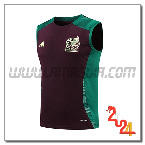 Canotta Allenamento Messico Verde/Marrone 2024 2025