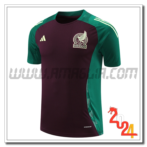 T Shirt Allenamento Messico Verde/Marrone 2024 2025