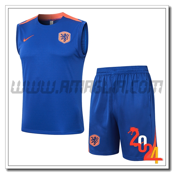 Kit Canotta Allenamento Paesi Bassi Blu/Arancia 2024 2025