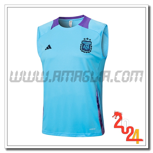 Canotta Allenamento Argentina Blu/viola 2024 2025