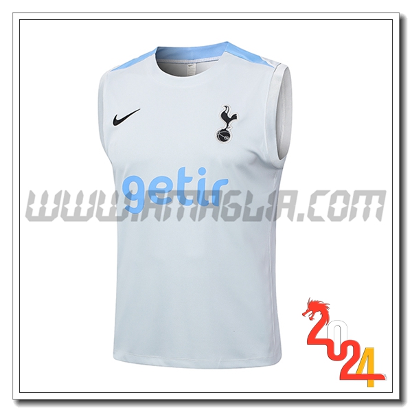 Canotta Allenamento Tottenham Hotspur Grigio Chiaro 2024 2025