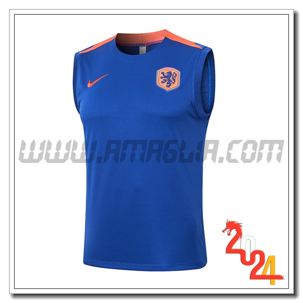 Canotta Allenamento Paesi Bassi Blu/Arancia 2024 2025