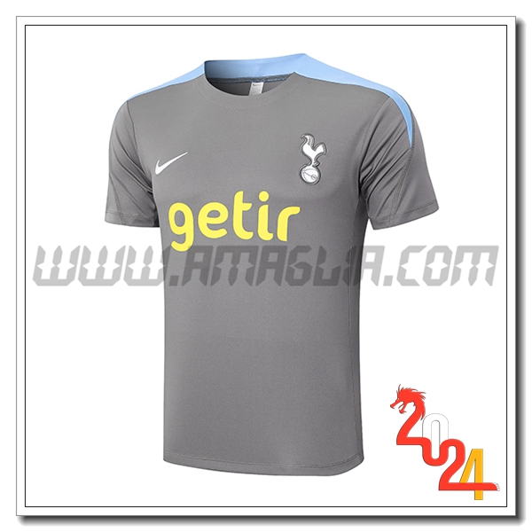 T Shirt Allenamento Tottenham Hotspur Grigio/Blu 2024 2025