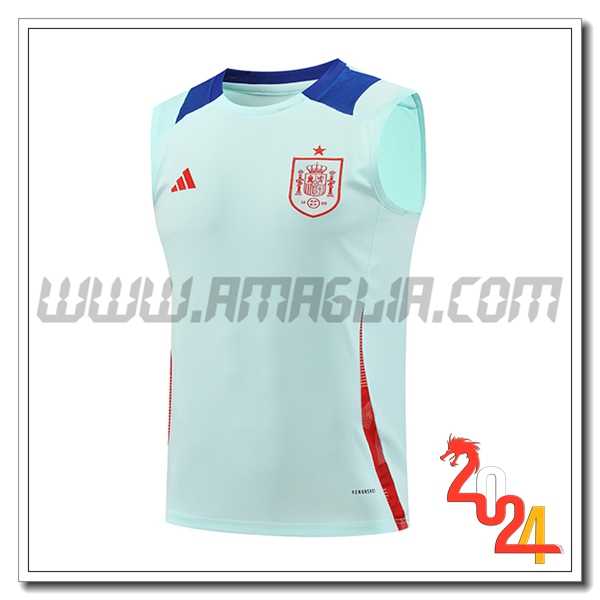 Canotta Allenamento Spagna Azzurro 2024 2025