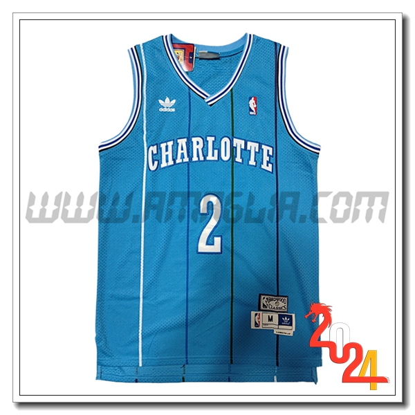 Maglia Charlotte Hornets (JOHNSON #2) 2024/25 Blu