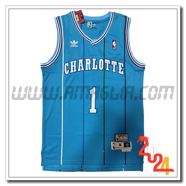 Maglia Charlotte Hornets (BOGUES #1) 2024/25 Blu