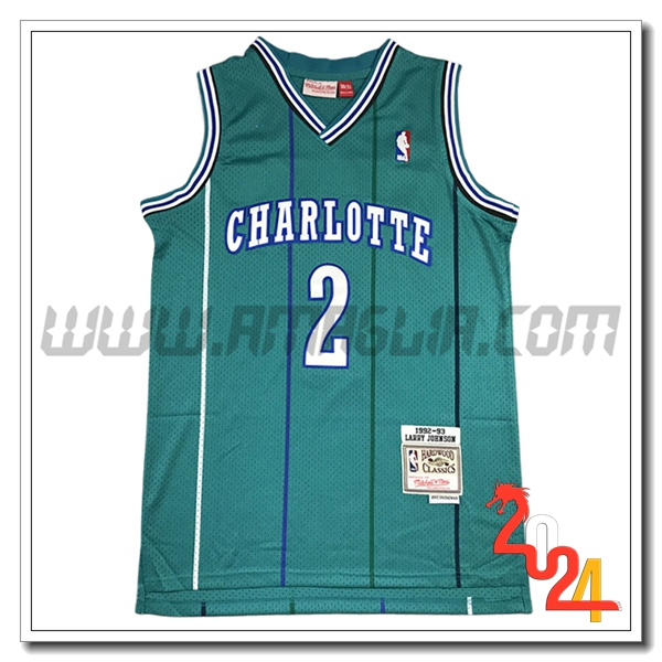 Maglia Charlotte Hornets (JOHNSON #2) 2024/25 Verde